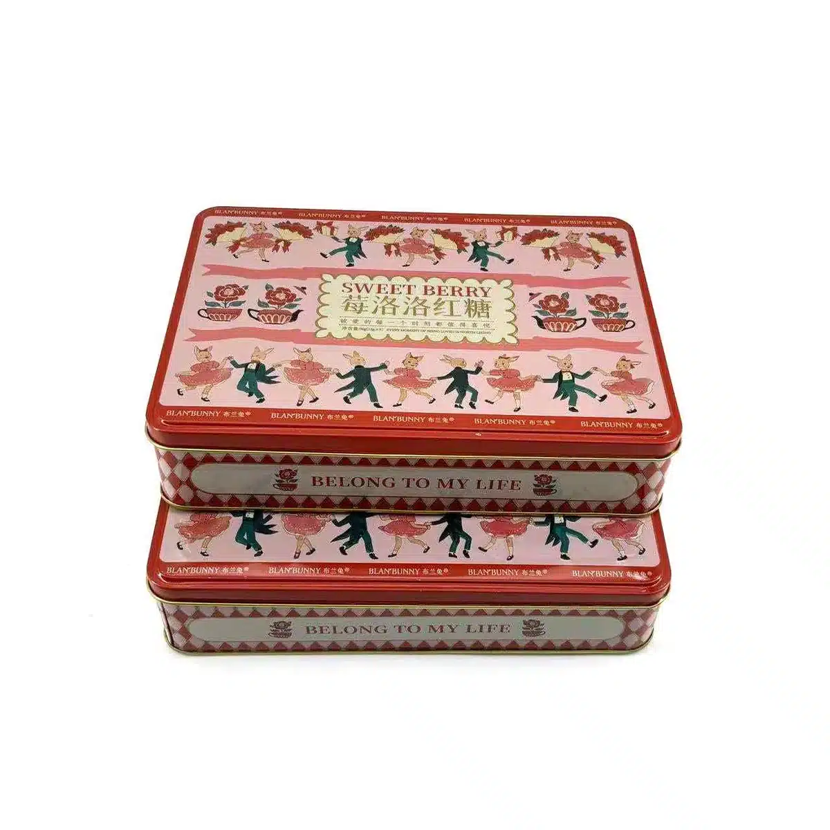 Rectangular Cookie Gift Tin 224×165×48mm – view 2