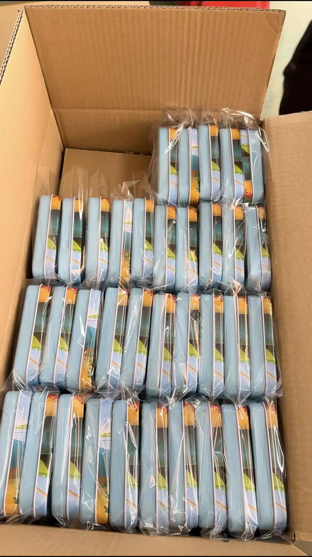Individually protected game tins arranged in a carton